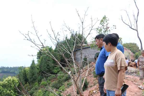 IMG_8588 (复制).JPG