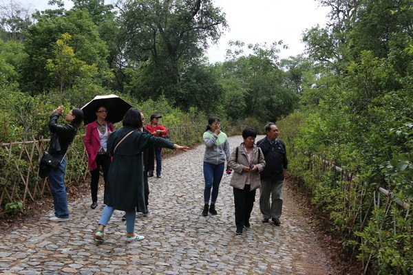 IMG_8661 (复制).JPG