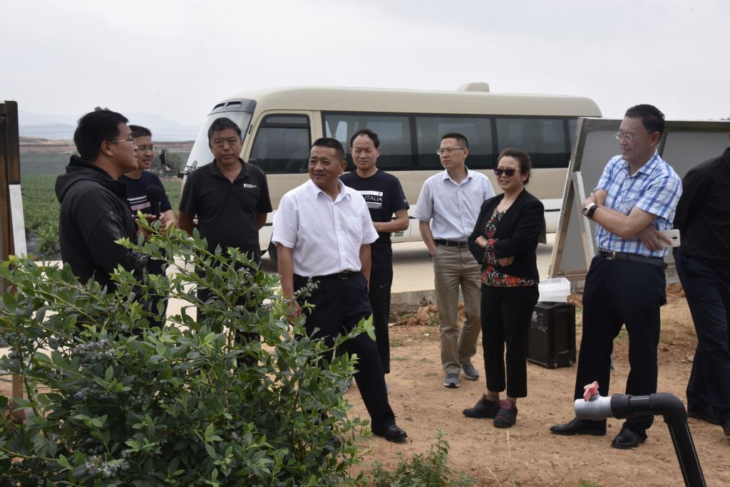 20200522马龙产业扶贫调研 343.JPG