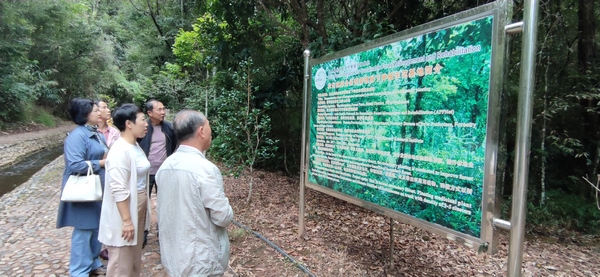 731593502 (复制).jpg