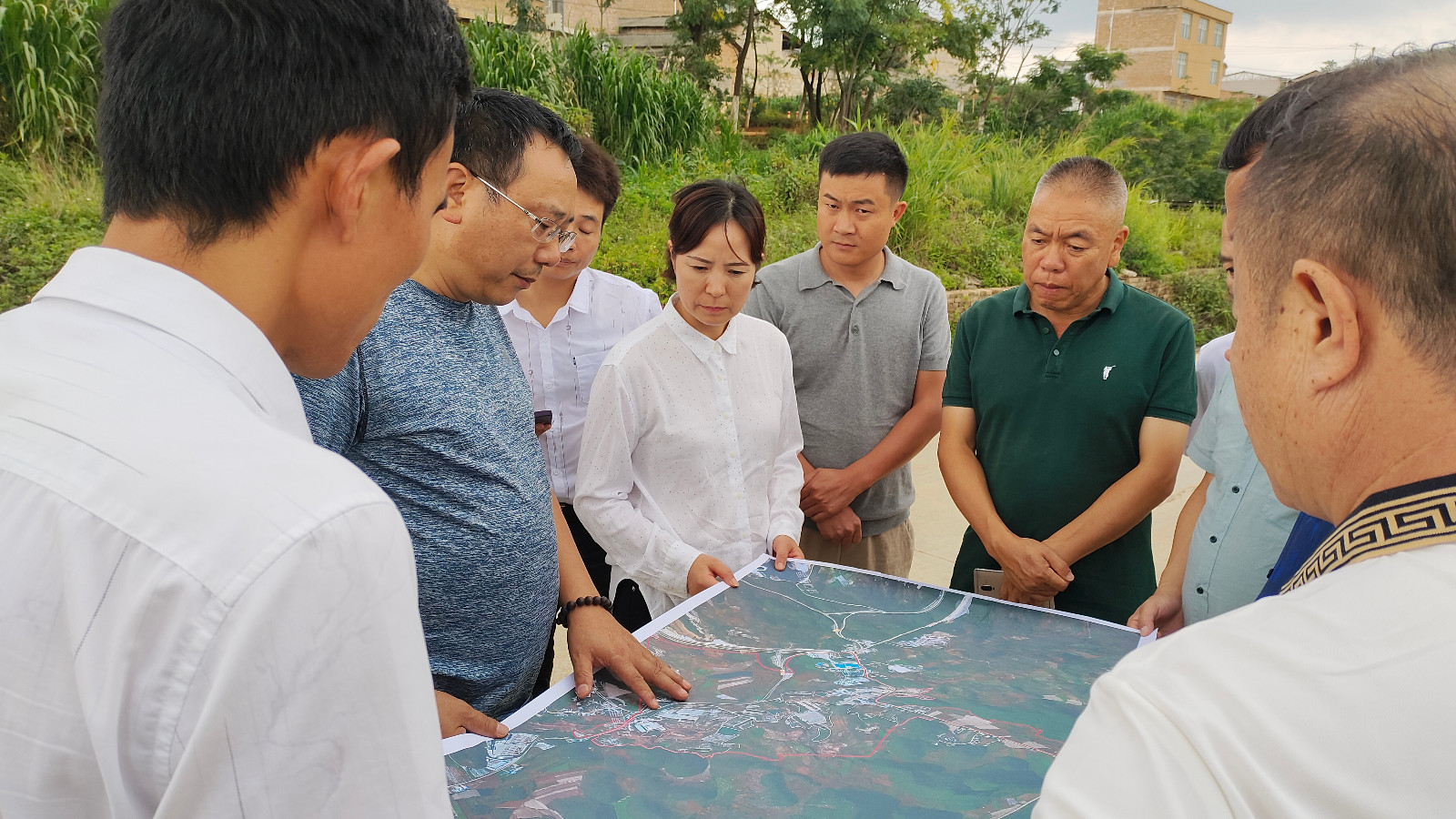 mmexport1690766176370.jpg mmexport1690766176370.jpg