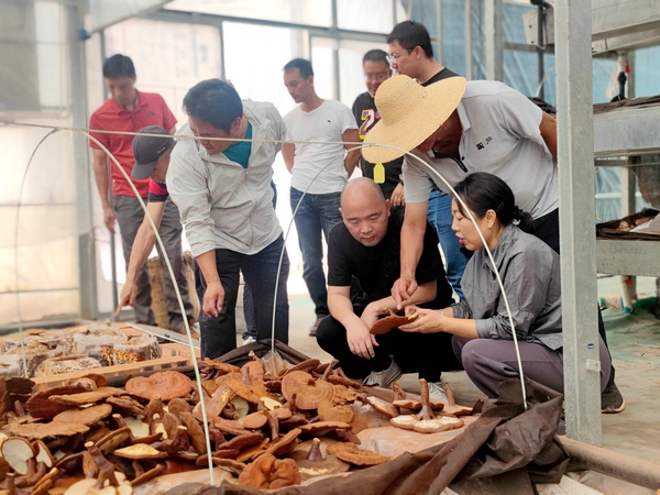 170533996 (复制).jpg 170533996 (复制).jpg