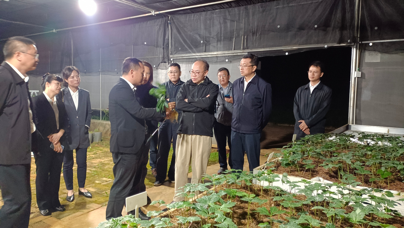 IMG_20231012_214754.jpg IMG_20231012_214754.jpg