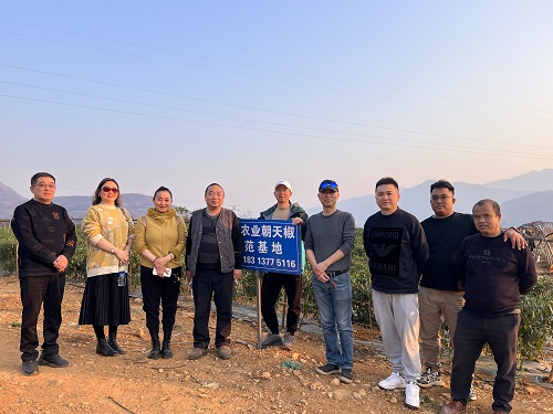 微信图片_20250122152050.jpg 微信图片_20250122152050.jpg