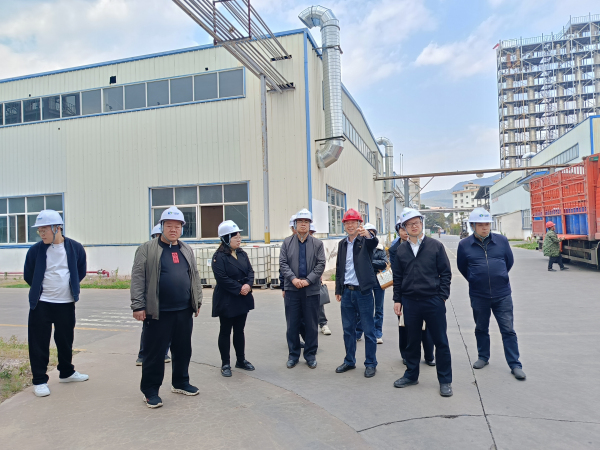 双柏调研1.jpg 双柏调研1.jpg