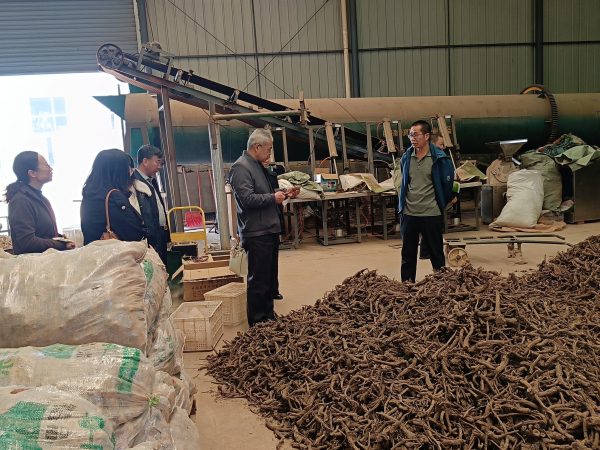 双柏调研2.jpg 双柏调研2.jpg