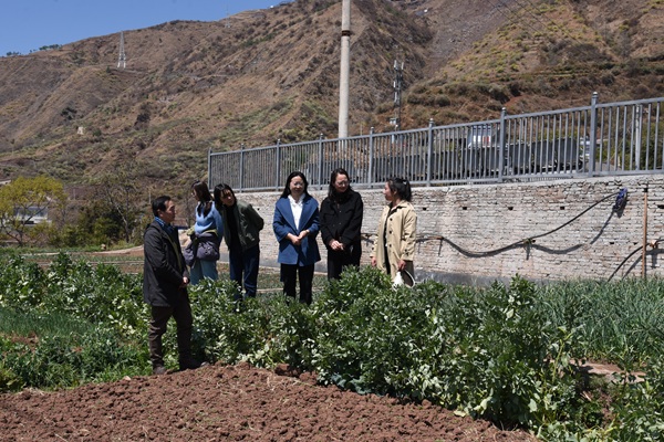 DSC_168701.jpg DSC_168701.jpg