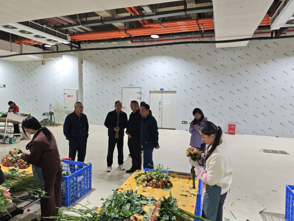 重点提案办理2025.3.jpg 重点提案办理2025.3.jpg