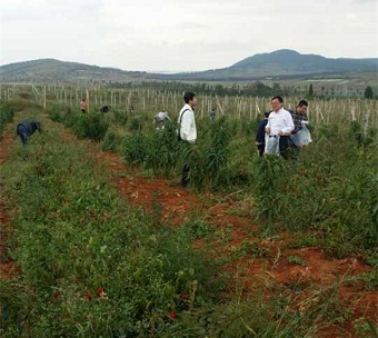 社发委深入企业调研生态循环农业
