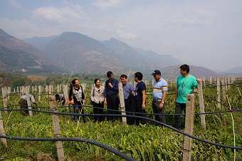 民建保山市委调研热区产业开发