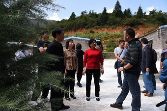 民建曲靖市委调研农村经济发展情况