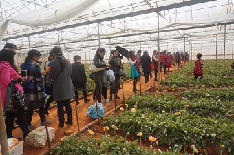 民建昆明市委妇委会庆祝“三八”妇女节走访会员企业