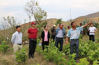 民建保山市委积极参与扶贫攻坚
