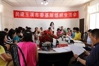 民建玉溪市委学习习总书记在全国政协民建、工商联委员联组会议上重要讲话精神