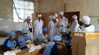 民建中央宣传部张皎部长莅临大理检查指导工作