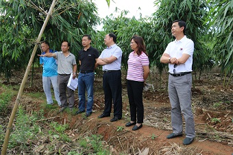 王清民副主委到普洱市调研民建创业创新园工作