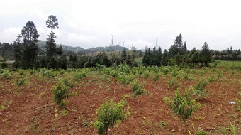 民建红河州委深入“同心工程”示范点开展精准扶贫