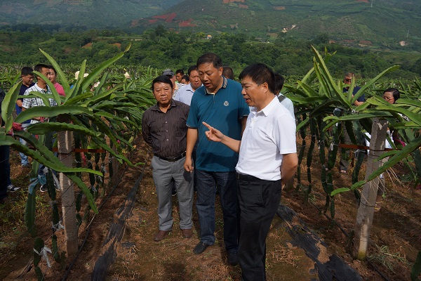 省水利厅到保山民建会员企业调研高效节水灌溉