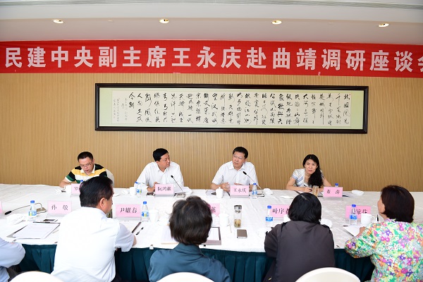 民建中央副主席王永庆到曲靖调研