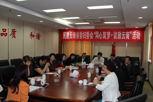 妇委会举行“同心筑梦议政云南”活动