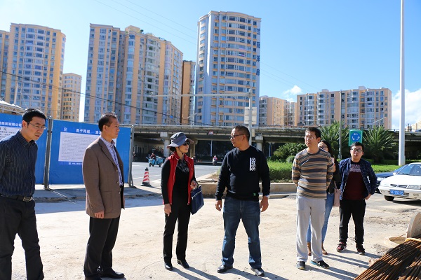 民建玉溪市委助力玉溪市海绵城市建设