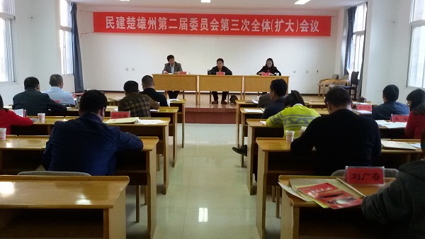 民建楚雄州委传达学习中共中央十八届六中全会精神