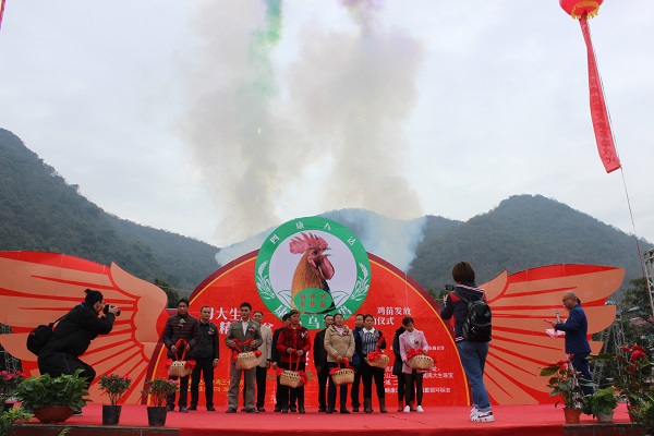 民建会员林亚达赠送1万只鸡苗给贫困户