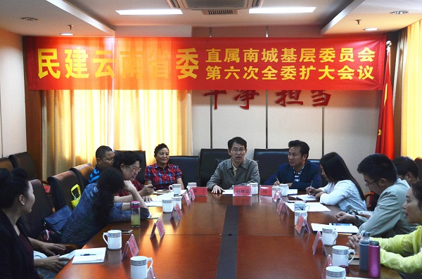 永盈彩票直属南城基层委员会第六次全委扩大会提出    积极撰写社情民意    形成参政议政成果
